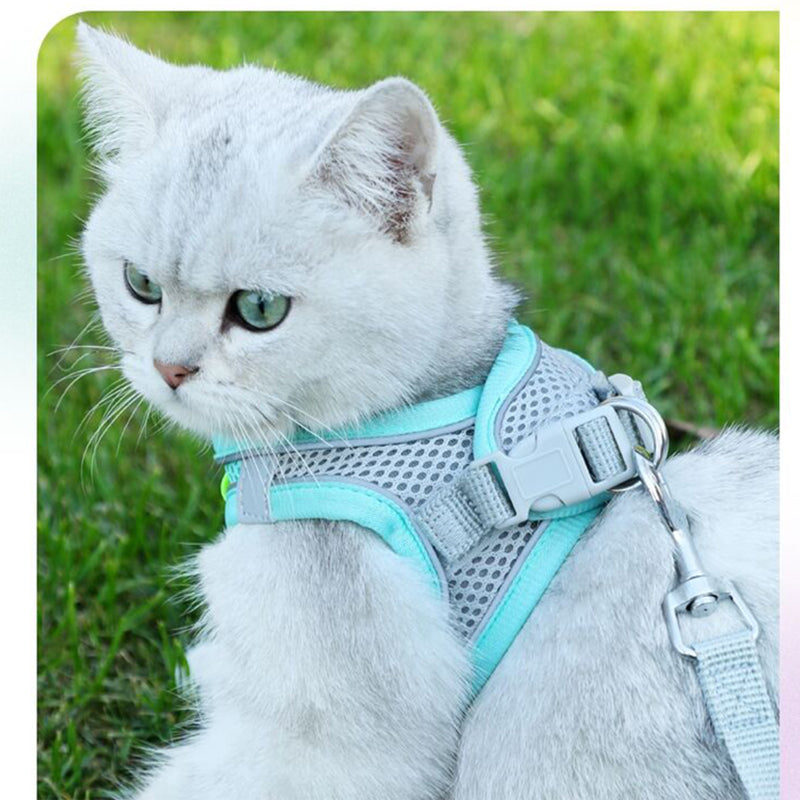 NoPull - Kattsele