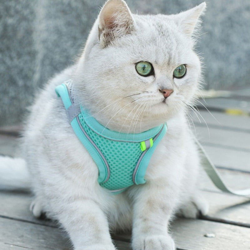NoPull - Kattsele