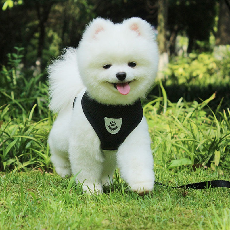 Airpaw's Hundsele