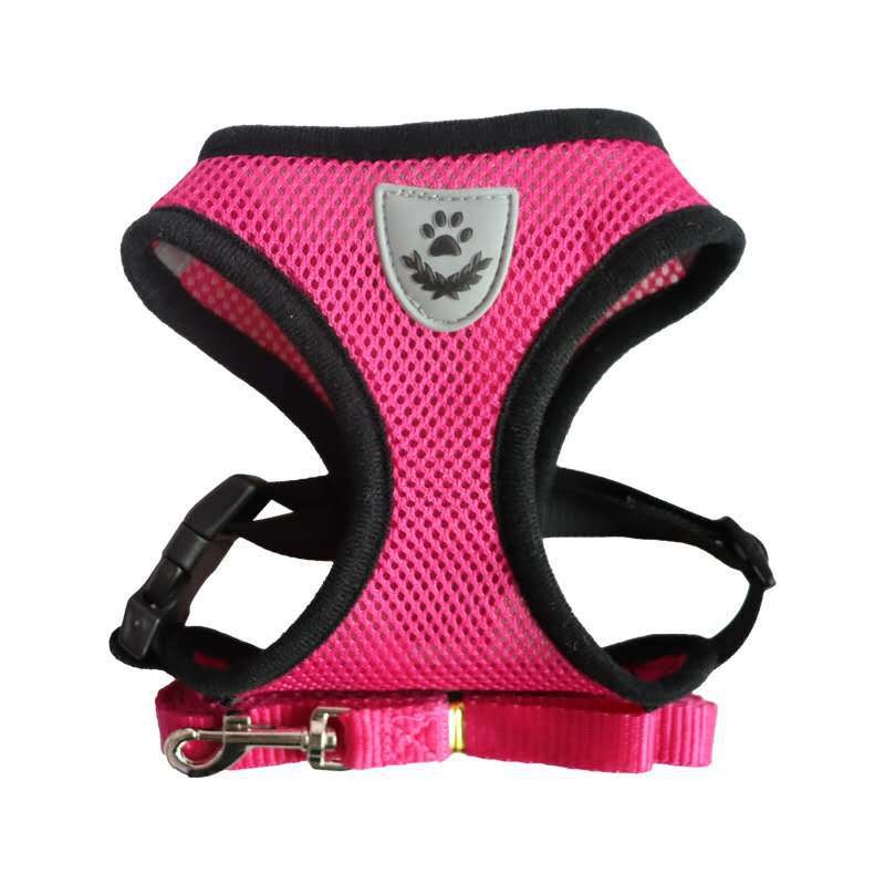 Airpaw's Hundsele